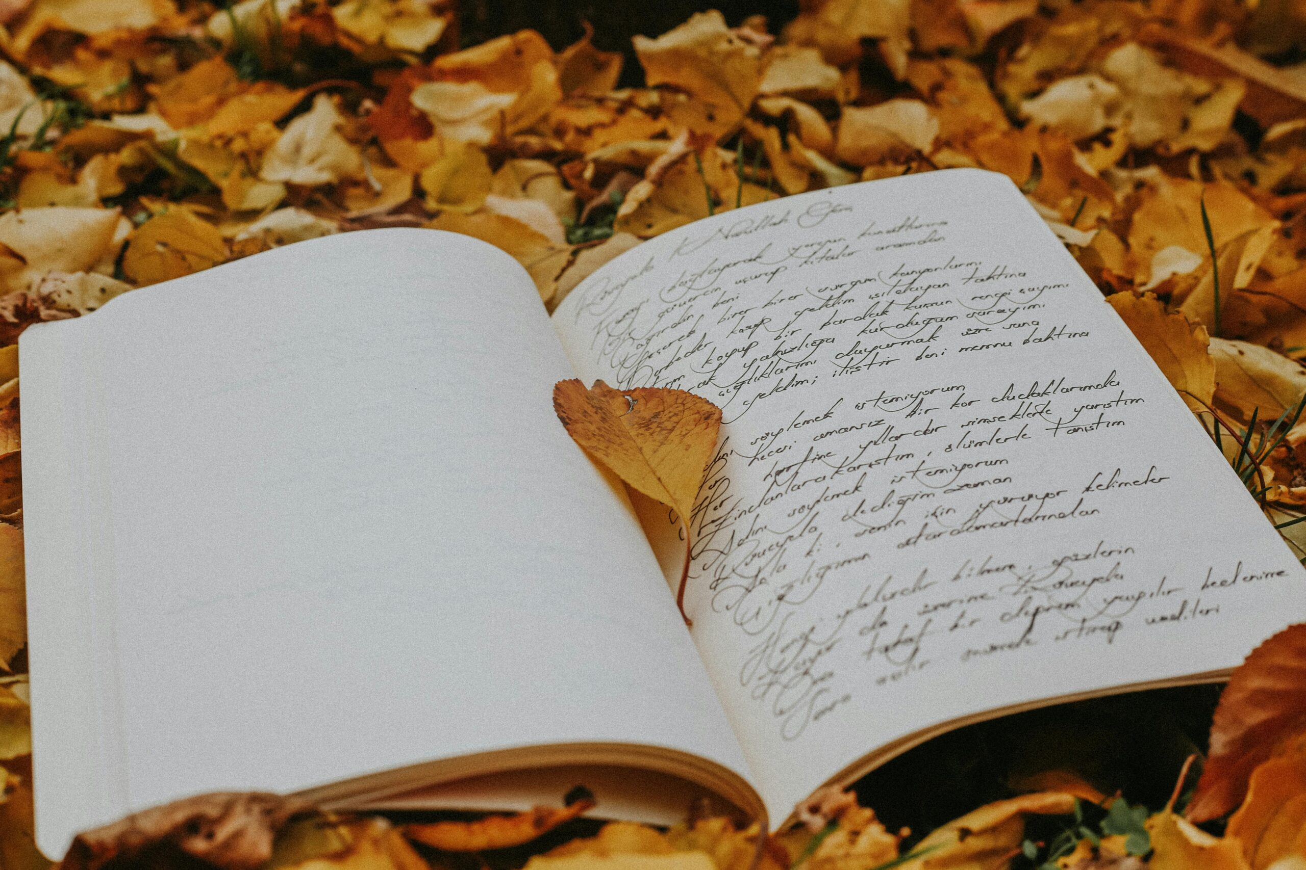 Writing Songs the Way Nature Actually Works
